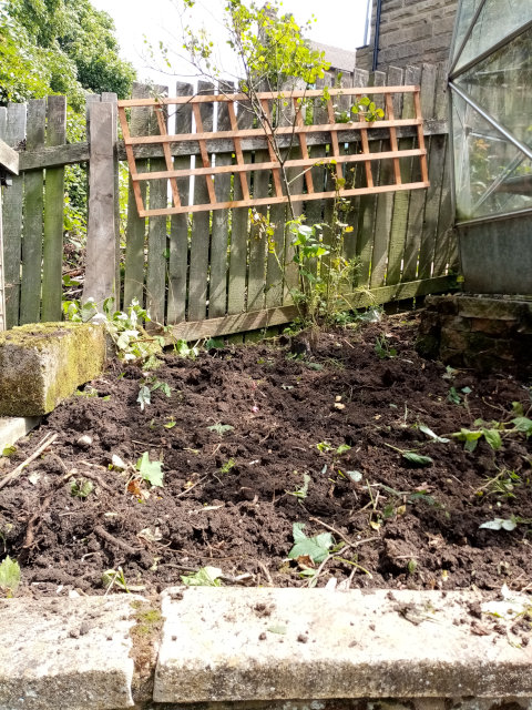 Soil and trellis