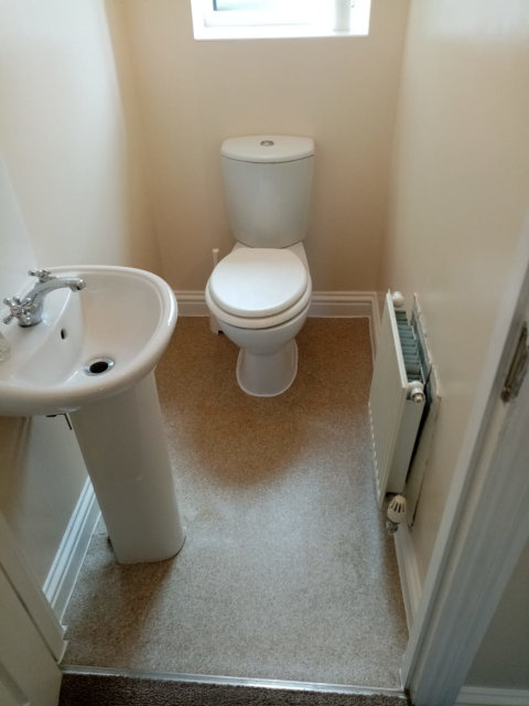 Toilet painted